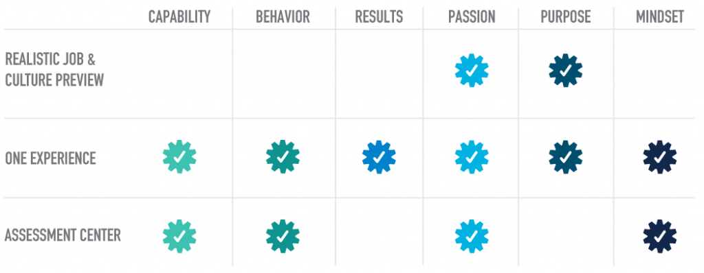 whole person model infographic