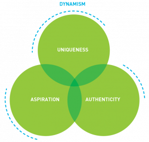 infographic dynamism, uniqueness, aspiration, authenticity