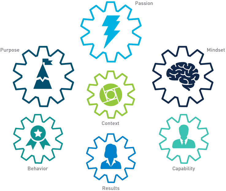 the whole person model infographic