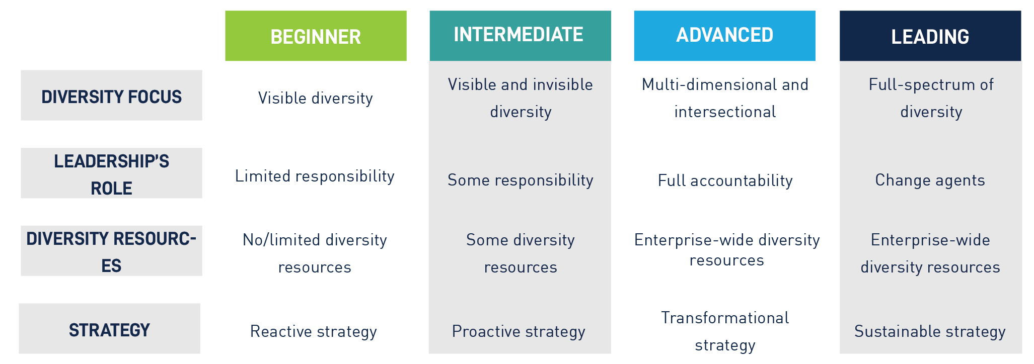 de&i meaning